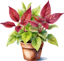 AI generated Watercolor painting of a Coleus scutellarioides plant. png