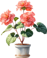 AI generated Watercolor painting of a Rex Begonia plant. png