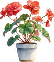 AI generated Watercolor painting of a Rex Begonia plant. png