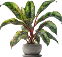 AI generated Watercolor painting of a Crotons plant. png