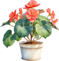 AI generated Watercolor painting of a Rex Begonia plant. png