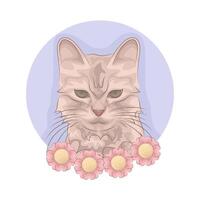 ilustración de gato vector