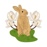 Illustration of standing rabbit vector