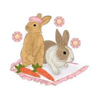 Illustration of two rabbits vector