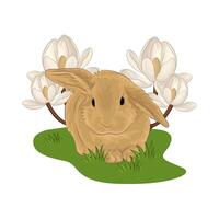 Illustration of rabbit vector