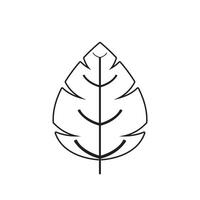 Autumn Maple leaf vector illustration design template