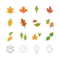 Autumn Maple leaf vector illustration design template