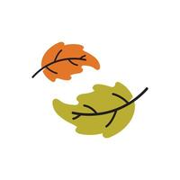 Autumn Maple leaf vector illustration design template