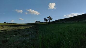 timelapse video of moving clouds with green fields