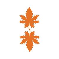 Autumn Maple leaf vector illustration design template