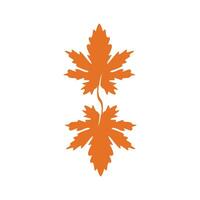 Autumn Maple leaf vector illustration design template