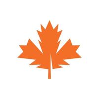 Autumn Maple leaf vector illustration design template