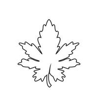 Autumn Maple leaf vector illustration design template