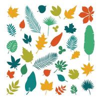 Silhouettes of leaves. Collection of leaves in cartoon flat style vector