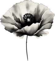 AI generated Japanese-style painting with brush strokes of Poppy flowers. png