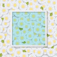 Daisies pattern and white frame banner vector