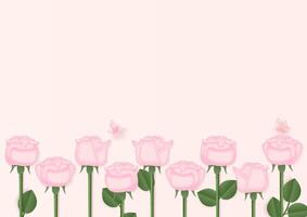 Set of pink rose on white background vector