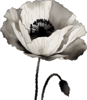 AI generated Japanese-style painting with brush strokes of Poppy flowers. png