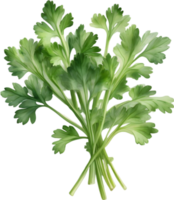 AI generated Watercolor painting of Parsley plant. png