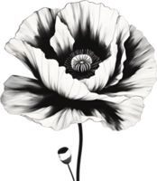 AI generated Japanese-style painting with brush strokes of Poppy flowers. png