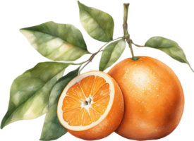 ai genererad vattenfärg målning av orange frukt. png