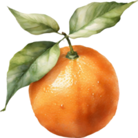 AI generated Watercolor painting of orange fruit. png