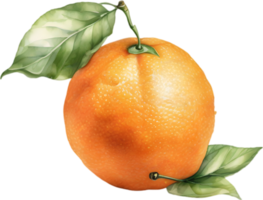 ai généré aquarelle La peinture de Orange fruit. png