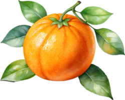 ai généré aquarelle La peinture de Orange fruit. png