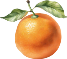 AI generated Watercolor painting of orange fruit. png