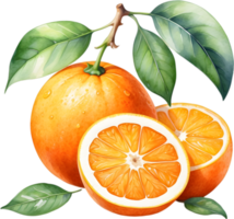 ai gerado aguarela pintura do laranja fruta. png