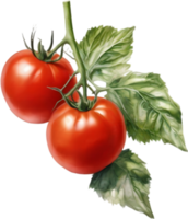 AI generated Watercolor painting of Tomatoes. png