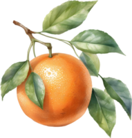 AI generated Watercolor painting of orange fruit. png