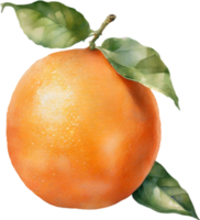 AI generated Watercolor painting of orange fruit. png