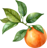 ai generado acuarela pintura de naranja fruta. png