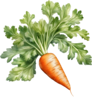 AI generated Watercolor painting of Carrot plant. png