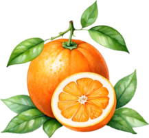 ai généré aquarelle La peinture de Orange fruit. png