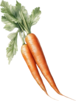 AI generated Watercolor painting of Carrot plant. png