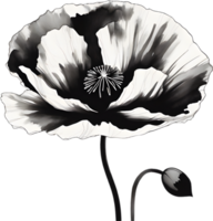 AI generated Japanese-style painting with brush strokes of Poppy flowers. png