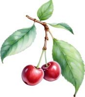 AI generated Close-up painting of cherry berry. png