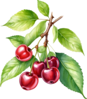 AI generated Close-up painting of cherry berry. png