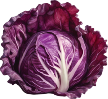 AI generated Watercolor painting of Cabbages plant. png