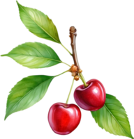 AI generated Close-up painting of cherry berry. png