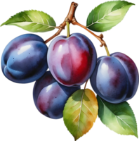 AI generated Watercolor painting of plum fruit with leaves. png