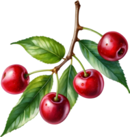 AI generated Close-up painting of cherry berry. png