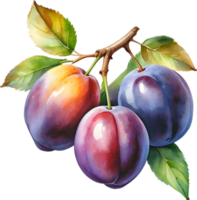 ai genererad vattenfärg målning av plommon frukt med löv. png