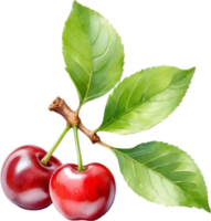 AI generated Close-up painting of cherry berry. png