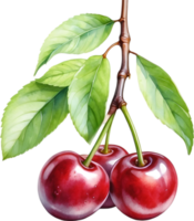AI generated Close-up painting of cherry berry. png