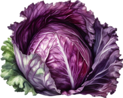 AI generated Watercolor painting of Cabbages plant. png