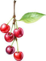 AI generated Close-up painting of cherry berry. png