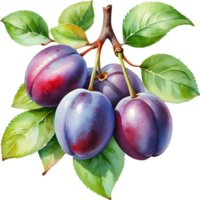 AI generated Watercolor painting of plum fruit with leaves. png